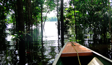 Manaus – Parque Nacional do Jaú – Novo Airão